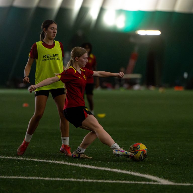 DSC08921-Enhanced-NR